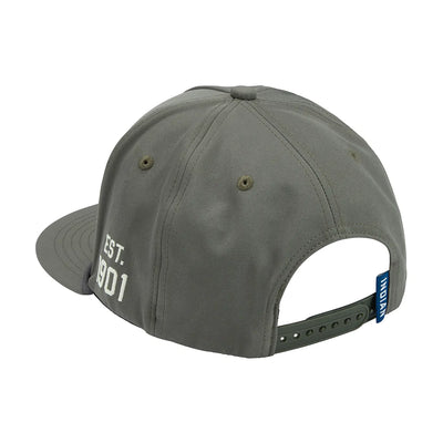 IMC Logo Flat Brim Cap, Green